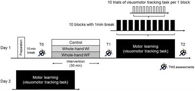 No effect of whole-hand water flow stimulation on skill acquisition and retention during sensorimotor adaptation